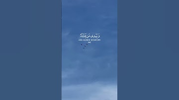 والله يدعوا الى دار السلام القارئ عبدالرحمن مسعد #رحيق_الايمان #quran #راحة_نفسية #قرانالكريم