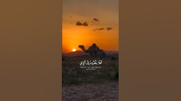 سورة الغاشية (17-21) بصوت القارئ عبد الرحمن مسعد #قرآن #عبدالرحمن_مسعد