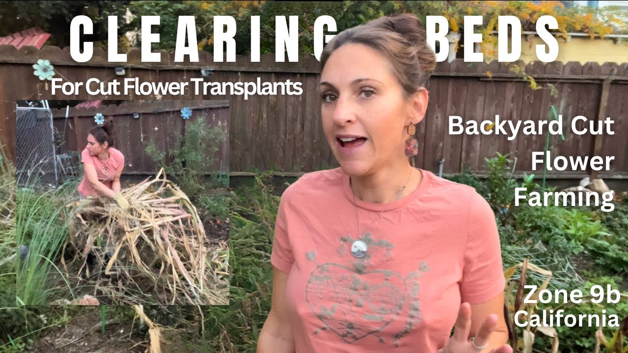 Prepping Bed Fall Planting Cut Flower Zone 9b California YouTube