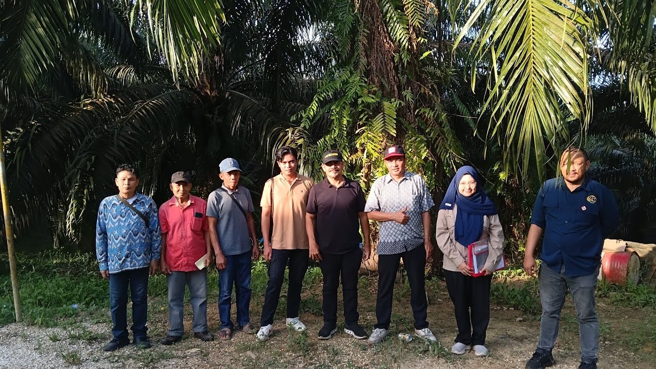 TO Kebun Sawit Kecamatan Meliau Kab Sanggau