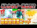 【switch勢必見】ハロウィンドラゴンとハロウィン蜘蛛男を確定で入手できる管理者コード教えます‼︎ 【フォートナイト】　ブレインロット　ブレインロットコード　フォートナイトブレインロットコード　