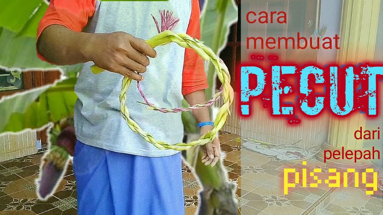  Cara  membuat pecut dari pelepah  pisang  YouTube