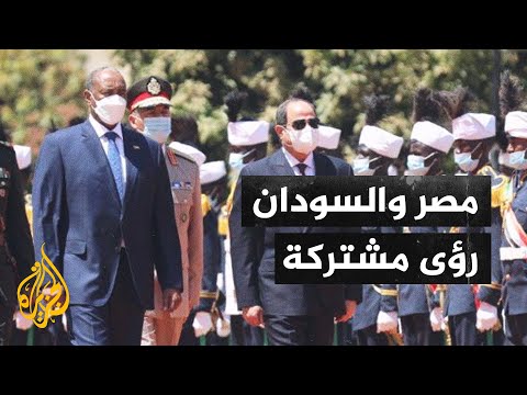 الرئيس السيسي : توافقنا على رفض أي تصرف أحادي من جانب إثيوبيا