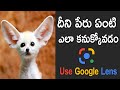 దీని పేరు ఏంటి  ఎలా కనుక్కోవడం | How to use Google Lens