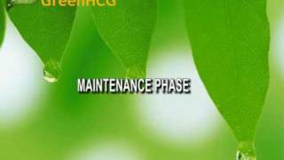 3 phases of hcg diet plan -- discover ...