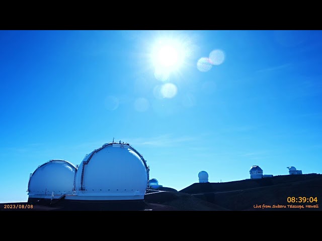 Voorman Aubergine groentje Perseids Meteor Shower 2023 Starry skies 24/7 LIVE from the Subaru Telescope  on MaunaKea, Hawaii - YouTube