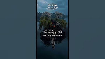 سورة المائدة #المصحف #راحة_نفسية #الرحمن #لايك #رمضان_كريم #اكسبلور