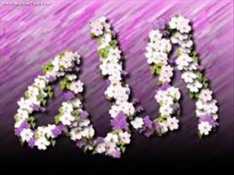 سورة المؤمنون من صلاة التراويح للشيخ حسن صالح 