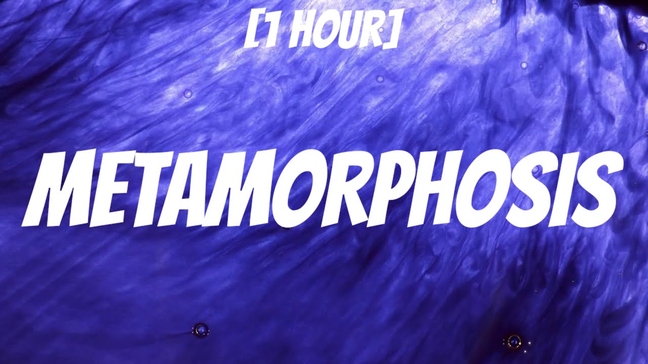 INTERWORLD - METAMORPHOSIS (Slowed) [1 HOUR/Lyrics] - YouTube
