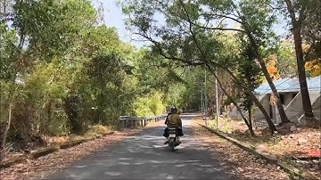 Khám phá con đường xuyên rừng núi Cậu, đi từ chùa Thái Sơn đến khu vực tham quan Suối Trúc