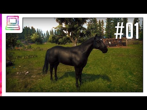 windstorm-(part-1)-(horse-game)