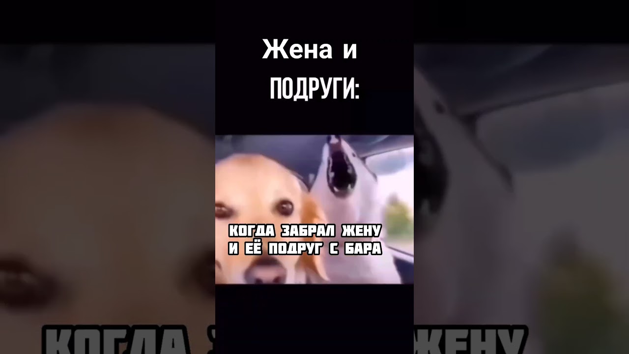 Иногда и так гуляем 