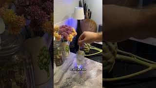 Как стабилизировать цветы #лайфхак #садоводничество #дача #diy #цветы #сад