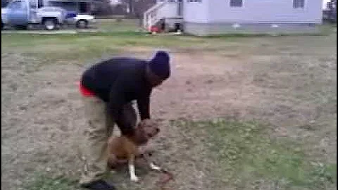 COREY WELCH AKA MR. MUTT "DA DOG TRAINER"...