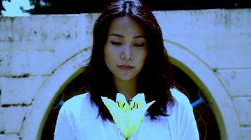 WhyOceans - Transparent People (Official Music Video)