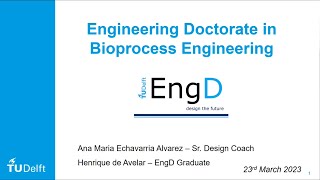 EngD BPE  - Design the Future | VIII SBE