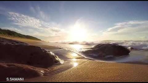 الشيخ عمر النبراوي حفظه الله ، آيات من سورة القصص