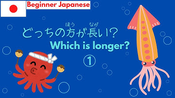 Which is Longer ① | Beginner Japanese