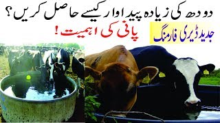 How To Increase Milk Production Of Dairy Animals By Offering More Water -  Youtube