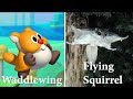 Super Mario´s Enemies And Their Real Life Counterparts #01
