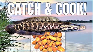 8 Froggin' Tips: Snakehead Edition - How to Frog and Mouse Fish