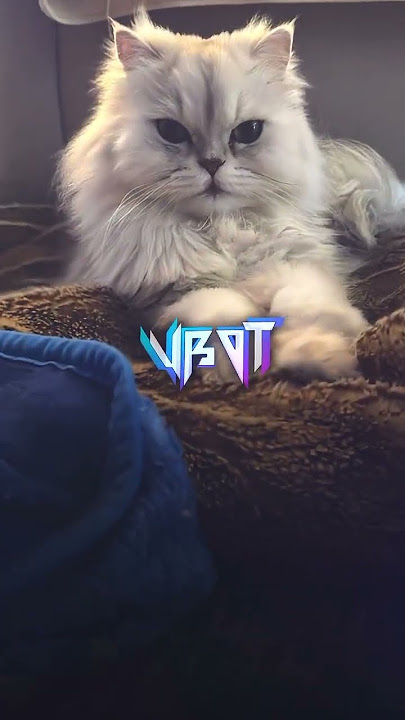 konsep atur sendiri   #presetdibawah5mb #presetxml #preset #fypシ