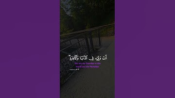 تلاوة خاشعة لآيات من كتاب الله #القرآن_الكريم #القرآن #المصحف #الله #اكسبلور #foryou  #راحة_نفسية