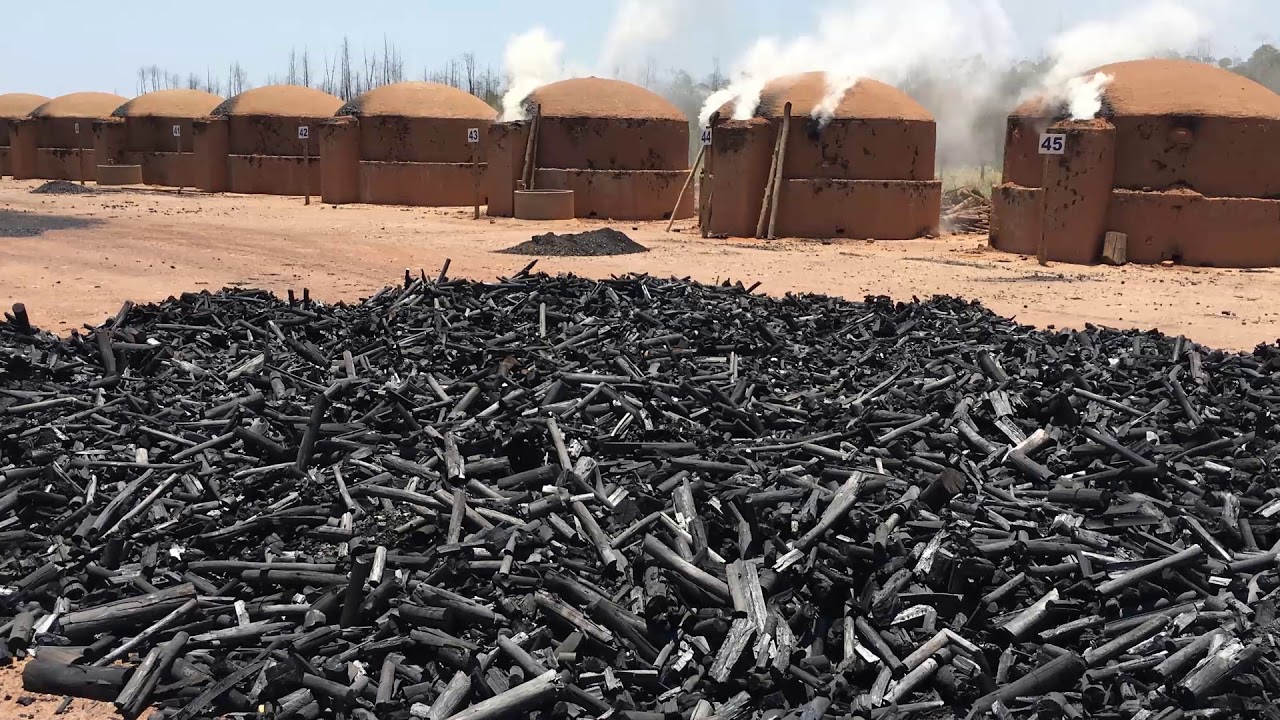 Saiba qual o substrato ideal para o cultivo de Morangos.