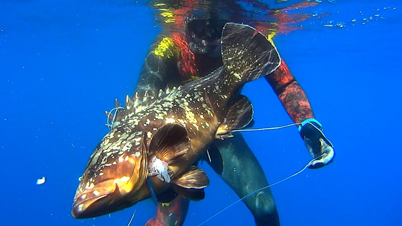 Spearfishing Agios Georgios island - Ψαροντούφεκο στον Τζώρτζη