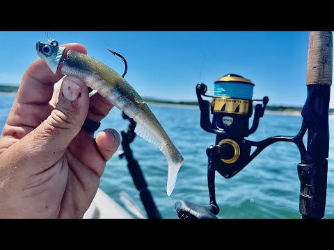 Jigging Swimbaits On Rockpiles For Fluke (Summer Flounder) & Sea Bass 