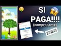 TREE FOR MONEY APP, SI PAGA!!! Comprobante de pago 02 de Junio 2020.