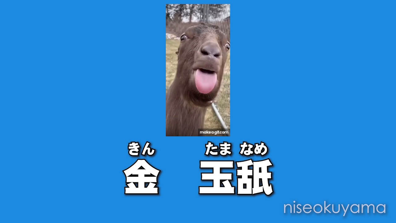 ワンクリ詐欺 NG動画 「金」さんは請求免除されるようです