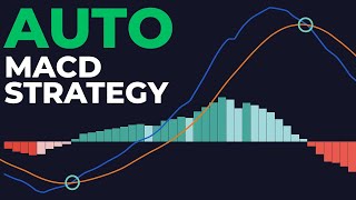 MACD Trading Strategy (AUTO $208,000 Profit)