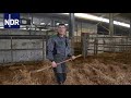 Landwirtschaft am Limit: Ackern bis zum Umfallen? | Doku | DIE REPORTAGE | NDR