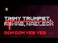 Timmy Trumpet R3HAB Naeleck Dom Dom Yes Yes mp3