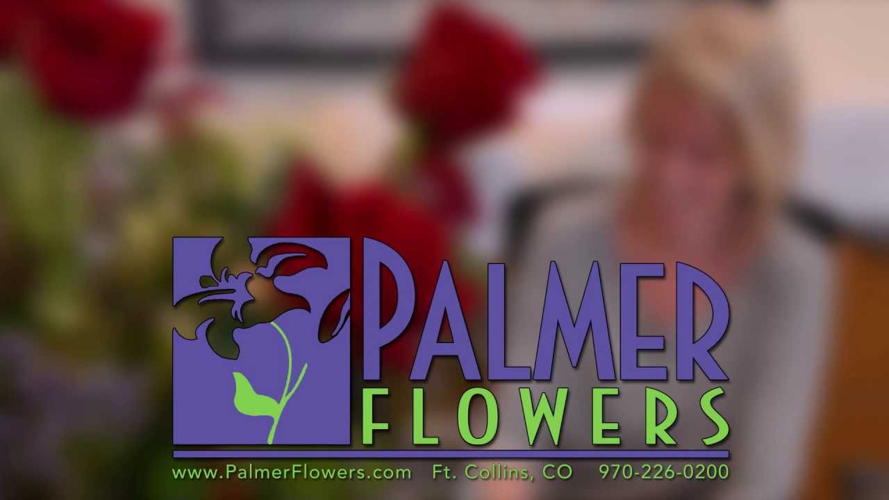 Palmer Flowers In Fort Collins Colorado