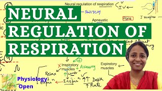 Neural regulation of respiration | Respiratory system physiology mbbs 1st year lecture