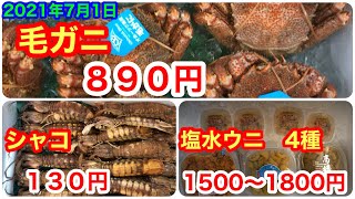 毛ガニ、塩水ウニ、シャコが安いです。【札幌多田水産】2021年7月1日