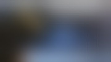 install linux mint on virtualbox and run checkra1n for jailbreak