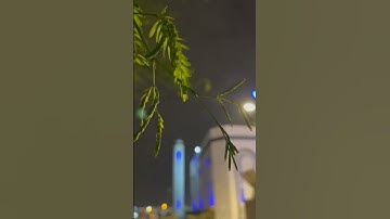 مقتطف من الدعاء | رمضان ١٤٤٦ هـ - القارئ أحمد العبيد
