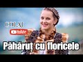 Andreeahaisan   colaj nou  din bucovina   phru cu floricele