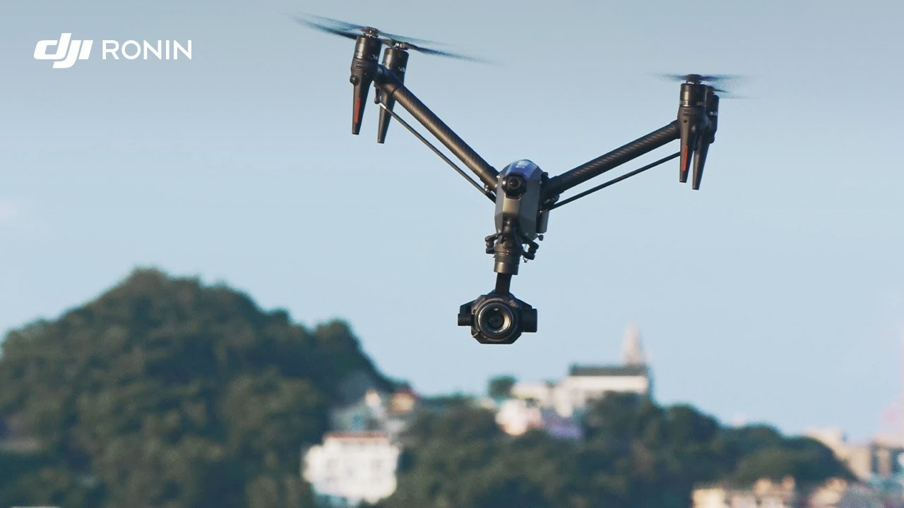 When Technology Meets Nature’s Grace 🐬 Filmed with DJI Inspire 3