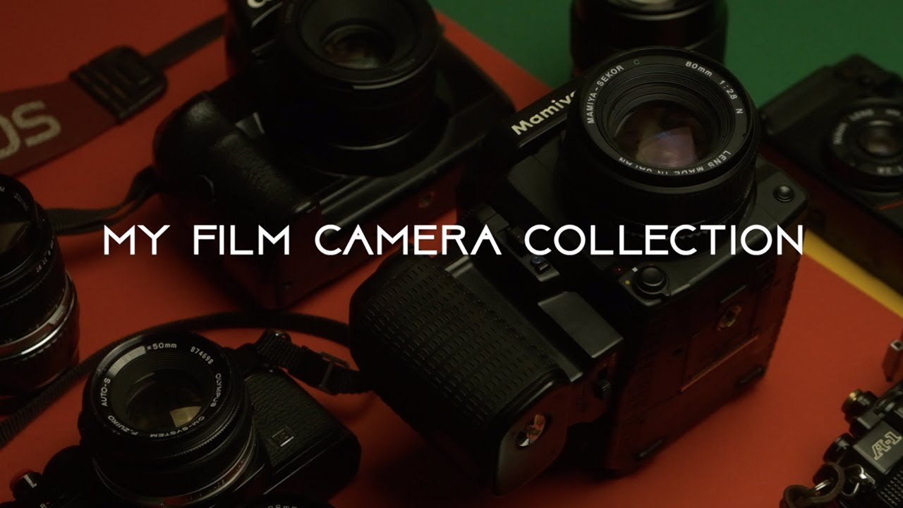 My Film Camera Collection YouTube
