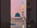 love #lovesong #allahsong #answer #alvidamaheramza #duet love #lovesong #a