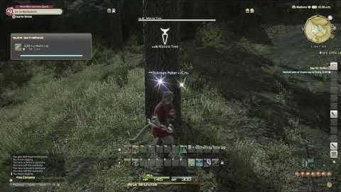 FFXIV - Sap for Smiles