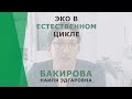 ЭКО в естественном цикле | Бакирова Наиля Эдгаровна | Акушер-гинеколог Корл Казань