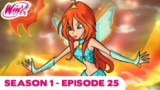 Winx Club  Season 1 Episode 25  The Ultimate Challenge  [FULL EPISODE]