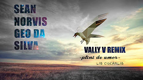 Sean Norvis & Geo Da Silva - Plini de Umor | Vally V. Remix