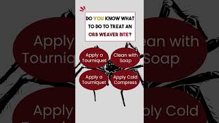 ORB WEAVER BITE TREATMENT #shorts