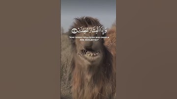 القران الكريم 🌺 سورة التكوير 🌺 الشيخ عبدالباسط عبدالصمد 🌺